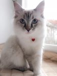 IMG-20181225-WA0000.jpg