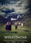 winaypacha2 (Copy) (Copy) (Copy) (Copy).jpg winaypacha2 (Copy) (Copy) (Copy) (Copy).jpg