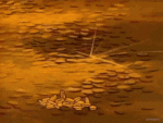 tenor - 2020-09-20T201149.815.gif