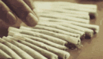 tenor - 2020-09-26T202114.929.gif tenor - 2020-09-26T202114.929.gif