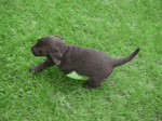 tenor - 2020-10-02T114621.043.gif tenor - 2020-10-02T114621.043.gif