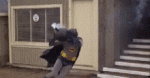 tenor - 2020-10-04T100430.506.gif