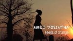 mbeu yosintha2 (Copy) (Copy) (Copy) (Copy) (Copy) (Copy).jpg