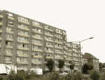 tenor - 2020-10-11T113706.156.gif