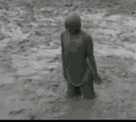 tenor (54).gif tenor (54).gif