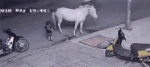 tenor - 2020-12-27T165512.397.gif