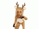 tenor - 2020-12-27T165632.963.gif