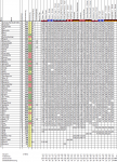 Wettspiel202021_24.png Wettspiel202021_24.png