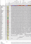 Wettspiel202021_25.png Wettspiel202021_25.png