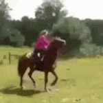 tenor - 2021-02-14T124255.434.gif