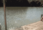 tenor - 2021-02-26T225211.121.gif tenor - 2021-02-26T225211.121.gif