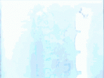 tenor - 2021-03-14T061332.675.gif