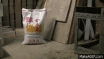 W6PzPi (1) (1).gif W6PzPi (1) (1).gif