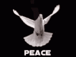 tenor (15).gif