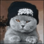tenor (33).gif