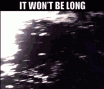 tenor (43).gif