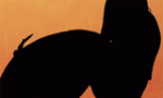178_160.gif 178_160.gif