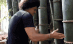 tenor (33).gif