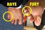 HAYE vs FURY.jpg HAYE vs FURY.jpg