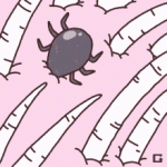 tenor - 2021-05-02T195808.139.gif