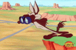 tenor - 2021-05-14T103701.727.gif