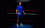 MC animation.gif MC animation.gif