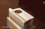 tenor - 2021-05-15T225010.703.gif