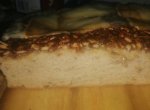 IMG_20210522_194257.jpg