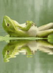 tenor - 2021-05-30T190521.474.gif