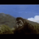tenor - 2021-05-31T101031.754.gif tenor - 2021-05-31T101031.754.gif
