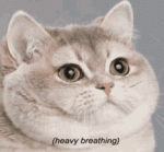 tenor - 2021-06-13T122414.213.gif tenor - 2021-06-13T122414.213.gif