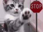 tenor - 2021-06-14T200049.575.gif