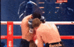 WebbedFavorableAnnashummingbird-max-1mb.gif