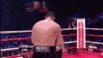 NecessaryOddballAfghanhound-max-1mb.gif