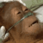 tenor - 2021-06-27T171104.437.gif tenor - 2021-06-27T171104.437.gif