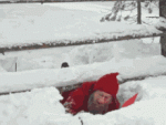 tenor - 2021-06-27T175900.171.gif