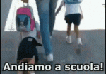 tenor - 2021-06-27T175701.973.gif