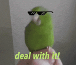 1624911005412.gif