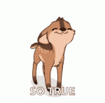 tenor - 2021-07-06T163649.821.gif