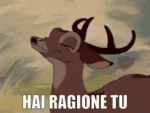 tenor - 2021-07-11T230258.574.gif tenor - 2021-07-11T230258.574.gif