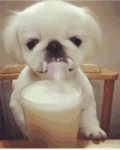 tenor - 2021-07-22T133219.686.gif tenor - 2021-07-22T133219.686.gif