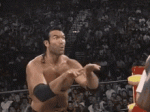 nwo-scotthall.gif nwo-scotthall.gif