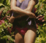 031_160.gif