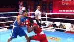 1628597294424.gif