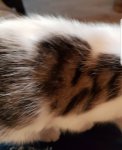 20210811_142819.jpg