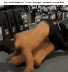 muse-dash-stonefight.gif muse-dash-stonefight.gif