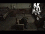 1629544301762.gif