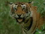 1629544526562.gif