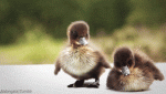 1629547833338.gif