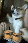 1630755185778.gif